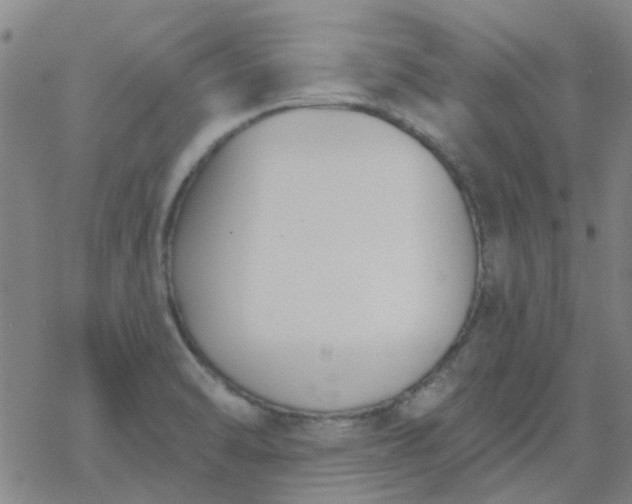 X0000069361470200605192046