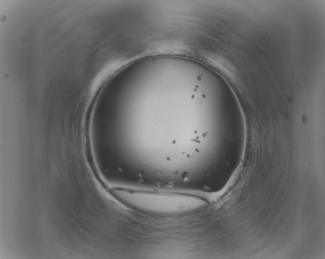 X0000069361471200605192046