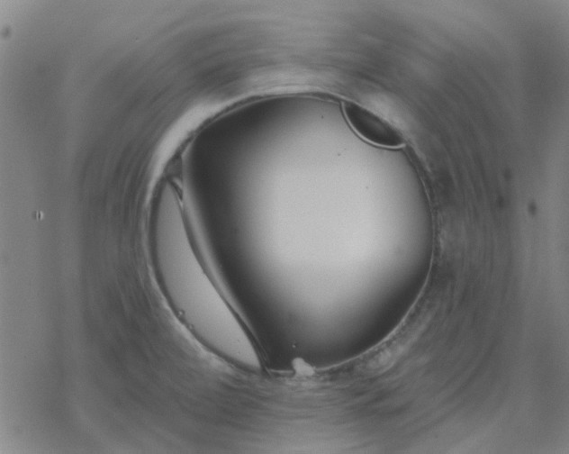 X0000069361472200605192046