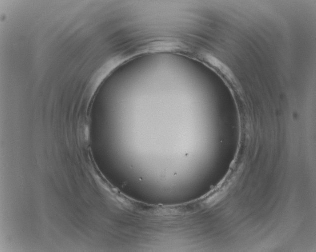 X0000069361473200605192046