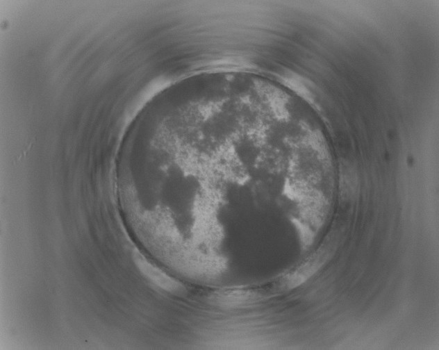 X0000069361474200605192046