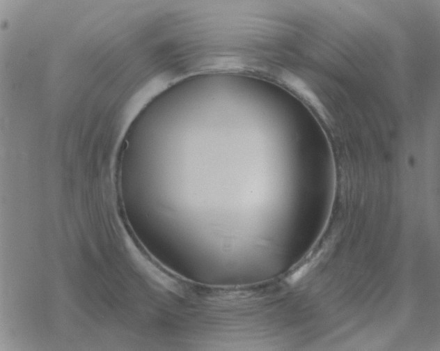 X0000069361475200605192046