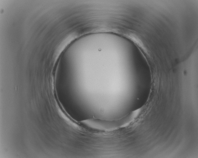 X0000069361476200605192046