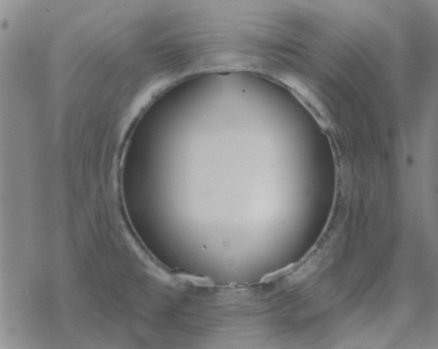 X0000069361477200605192046