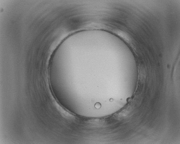 X0000069361478200605192046