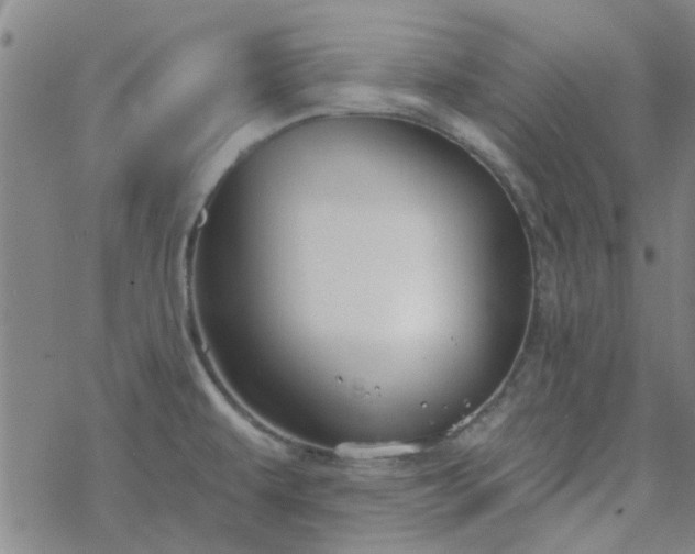 X0000069361479200605192046