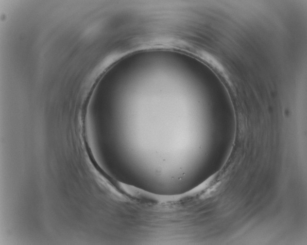 X0000069361480200605192046