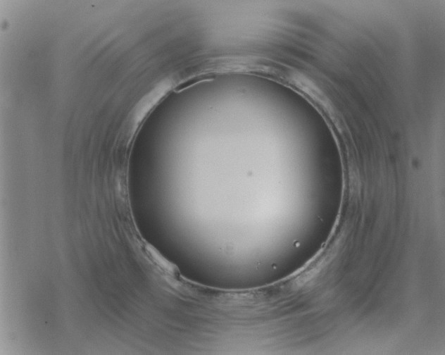 X0000069361481200605192046