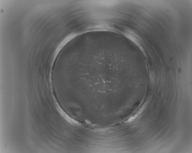 X0000069361482200605192046