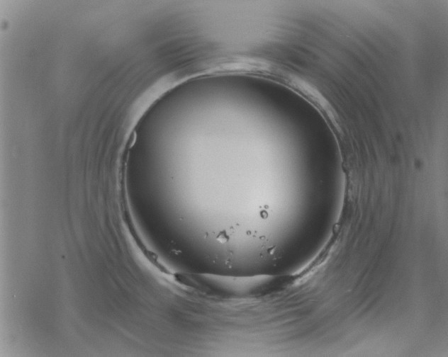 X0000069361483200605192046