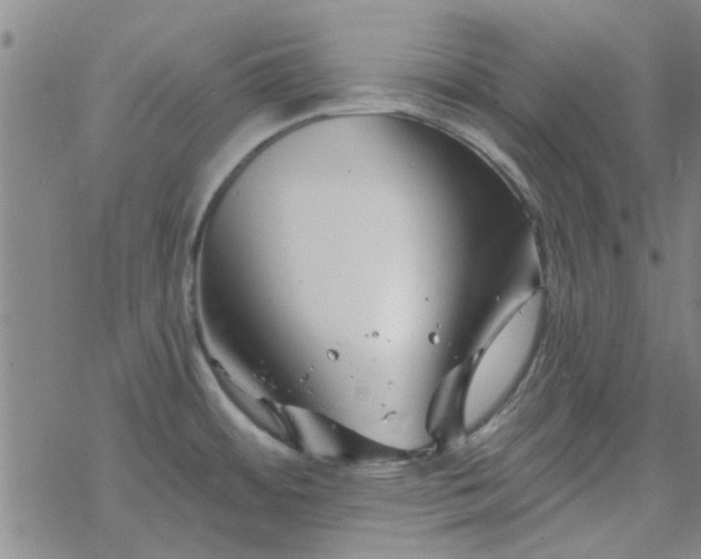 X0000069361484200605192046