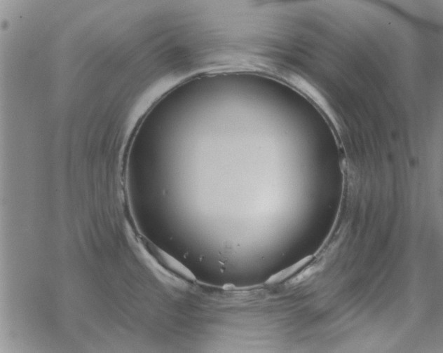 X0000069361485200605192045