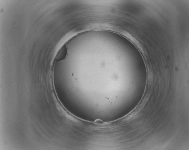 X0000069361486200605192045