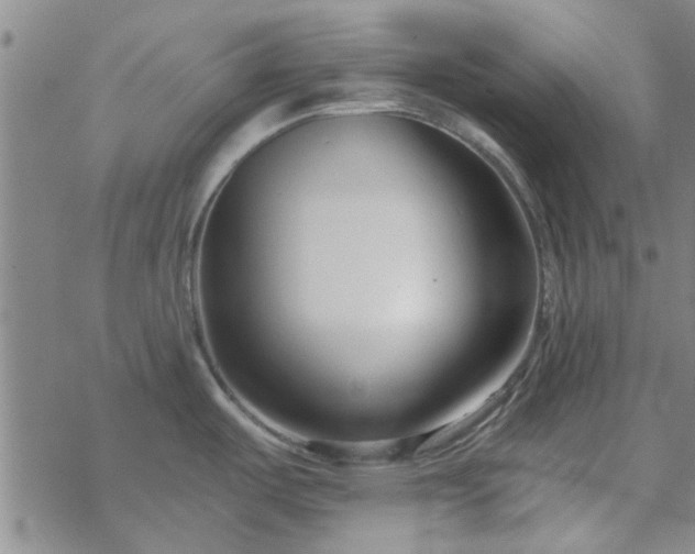 X0000069361487200605192045