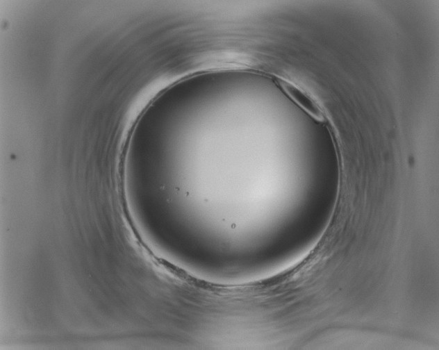 X0000069361488200605192045