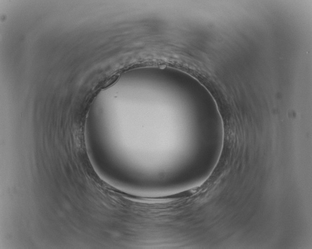 X0000069361490200605192045