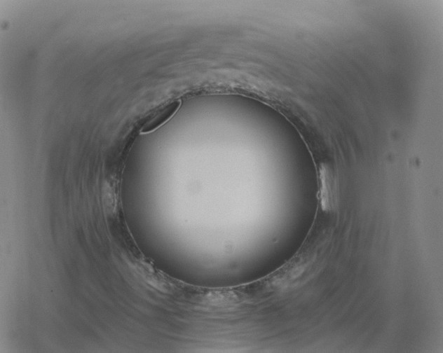 X0000069361491200605192045