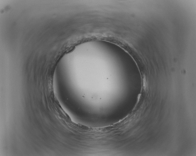 X0000069361492200605192045