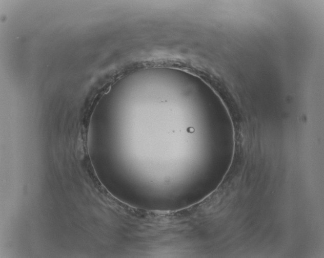 X0000069361493200605192045