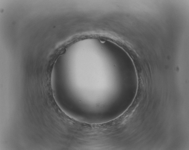 X0000069361494200605192045