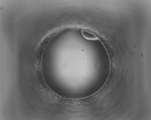 X0000069361495200605192045