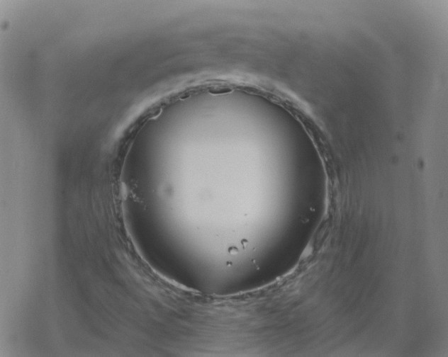 X0000069361496200605192045