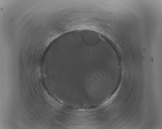 X0000069361497200605192045