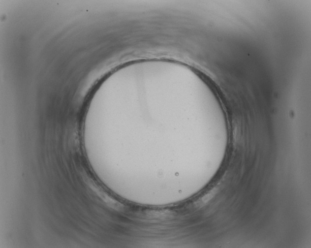 X0000069361498200605192045