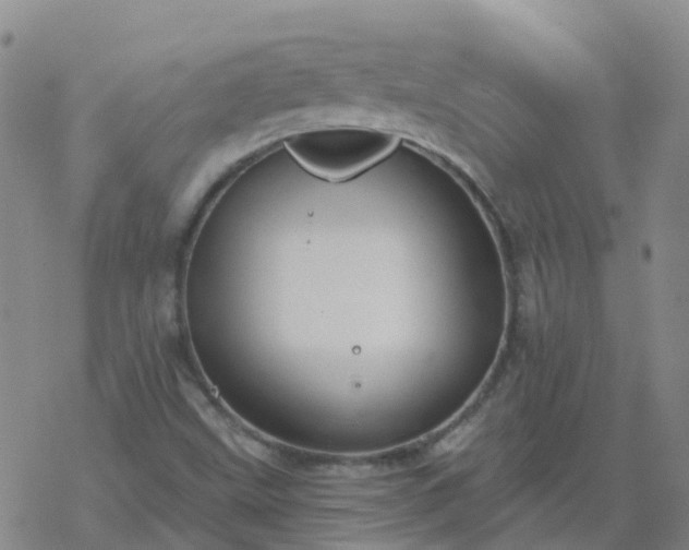 X0000069361499200605192045