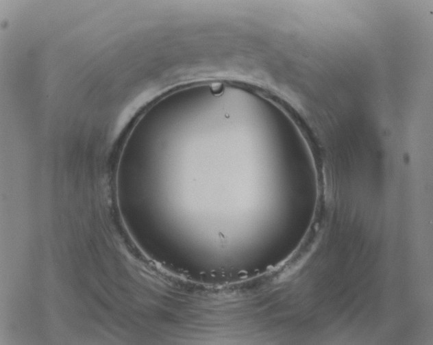 X0000069361501200605192045