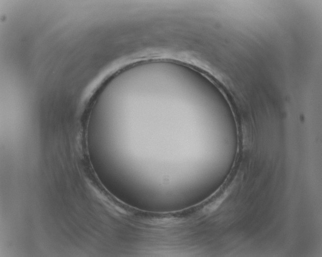 X0000069361502200605192045