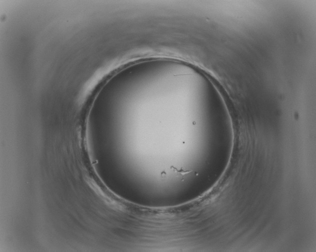 X0000069361503200605192045