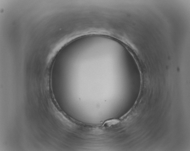 X0000069361504200605192045