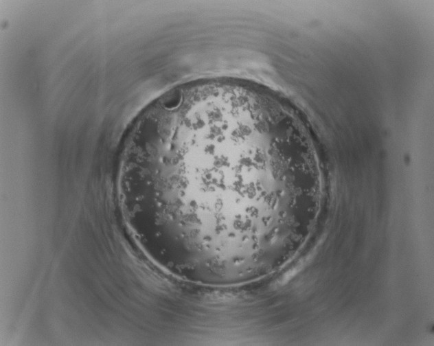 X0000069361505200605192045