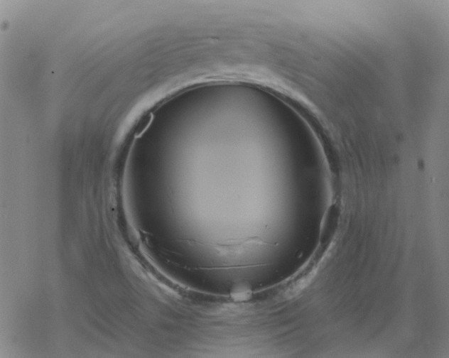 X0000069361506200605192045