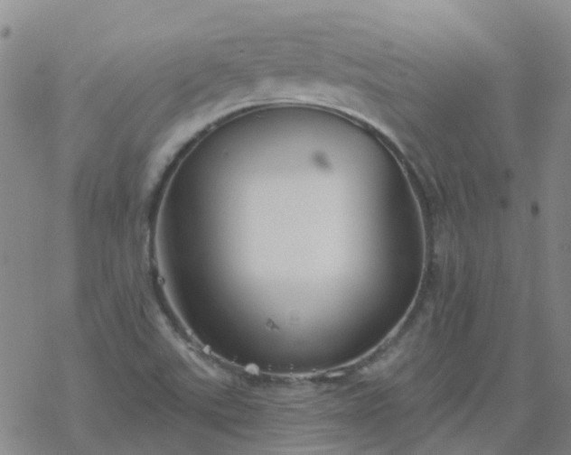 X0000069361507200605192045