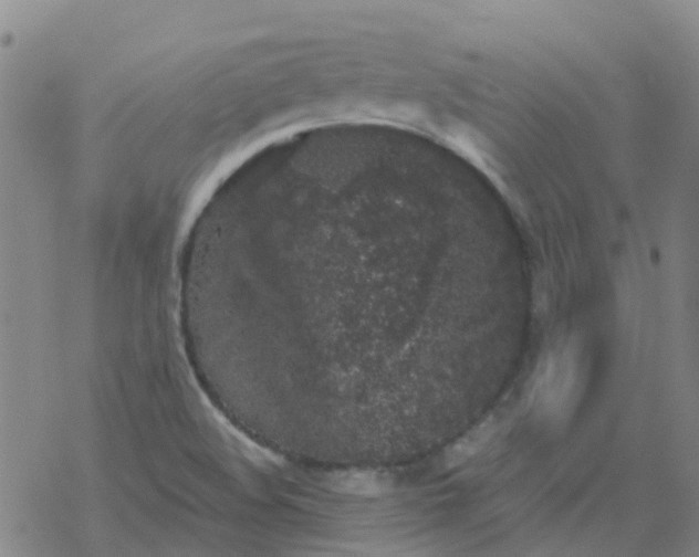 X0000069361508200605192045