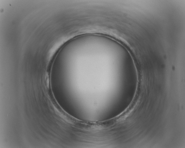 X0000069361509200605192045