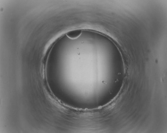 X0000069361510200605192045