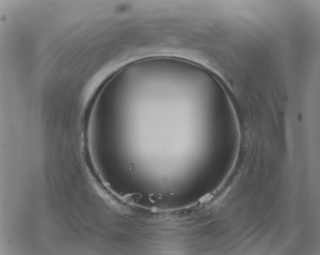 X0000069361511200605192045