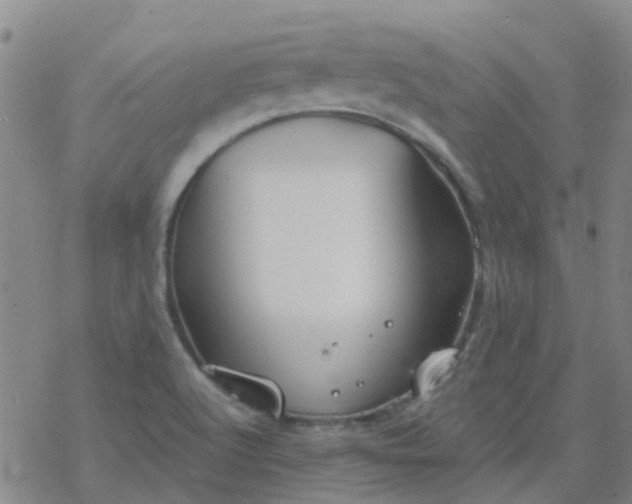 X0000069361512200605192045