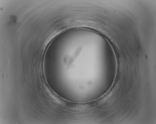 X0000069361513200605192045