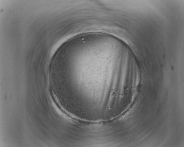 X0000069361515200605192045