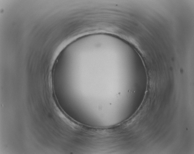 X0000069361516200605192045