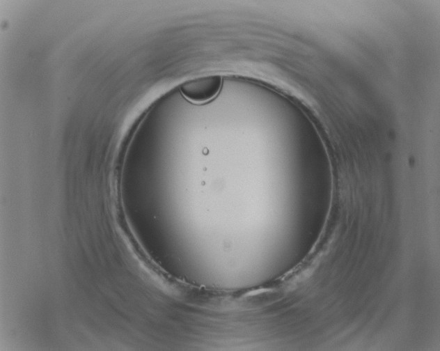 X0000069361517200605192045