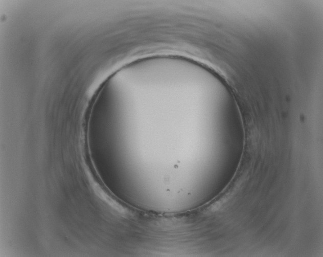 X0000069361518200605192045