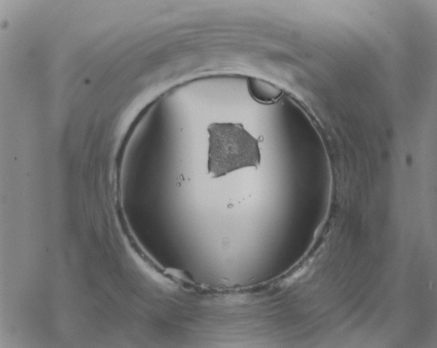 X0000069361519200605192045