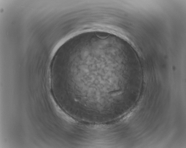 X0000069361522200605192045