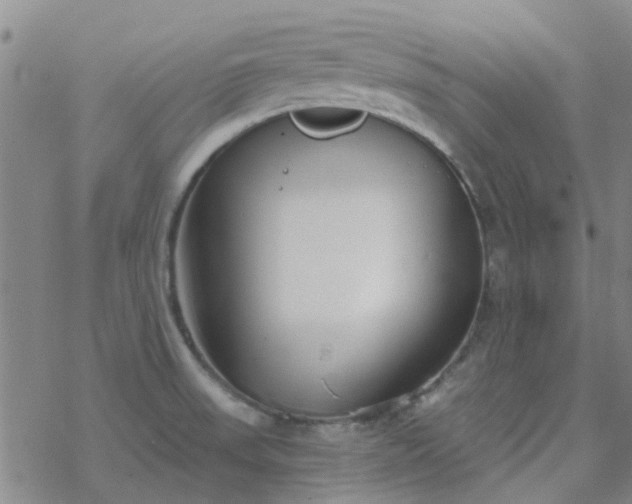 X0000069361523200605192045