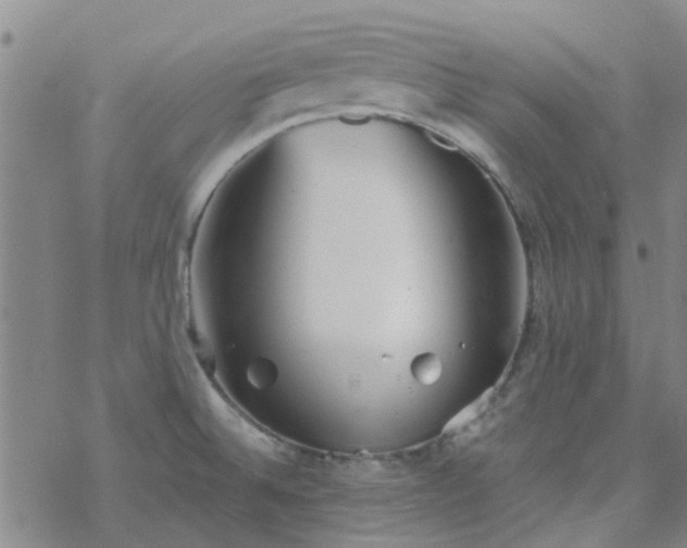 X0000069361524200605192045